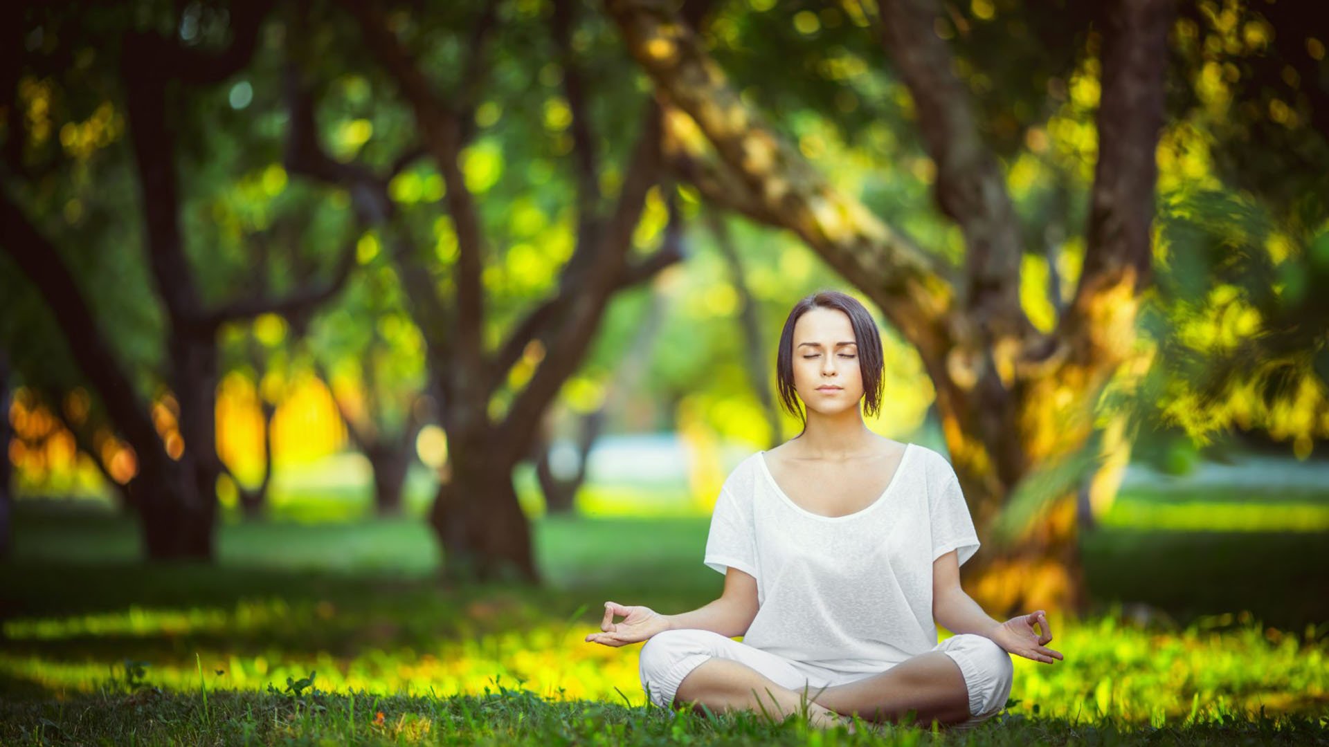 开云体育中心-格列兹曼帽子戏法闪耀诺坎普，武磊后防线千疮百孔—西甲冰火两重天，格列兹曼帽子戏法闪耀诺坎普，武磊后防线千疮百孔