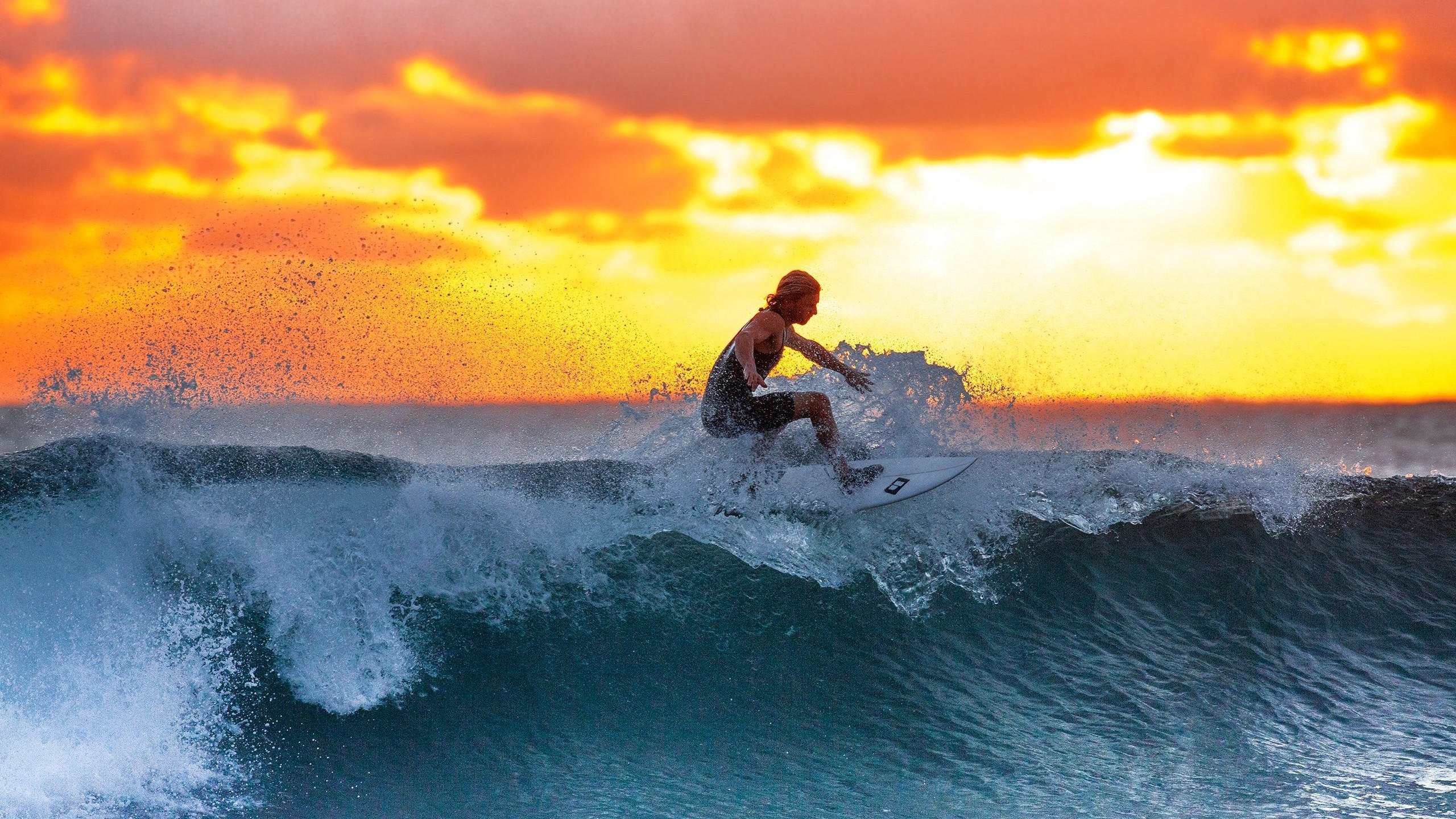 开云入口-孤注一掷的诺言，热刺主帅以帅位为赌注，今夜必须征服拜仁，孤注一掷！热刺主帅以帅位赌今夜征服拜仁
